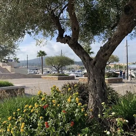 Tatil Evi Mediterraneenne, Piscine Et Apercu - Fr-1-226-568 Sainte-Maxime